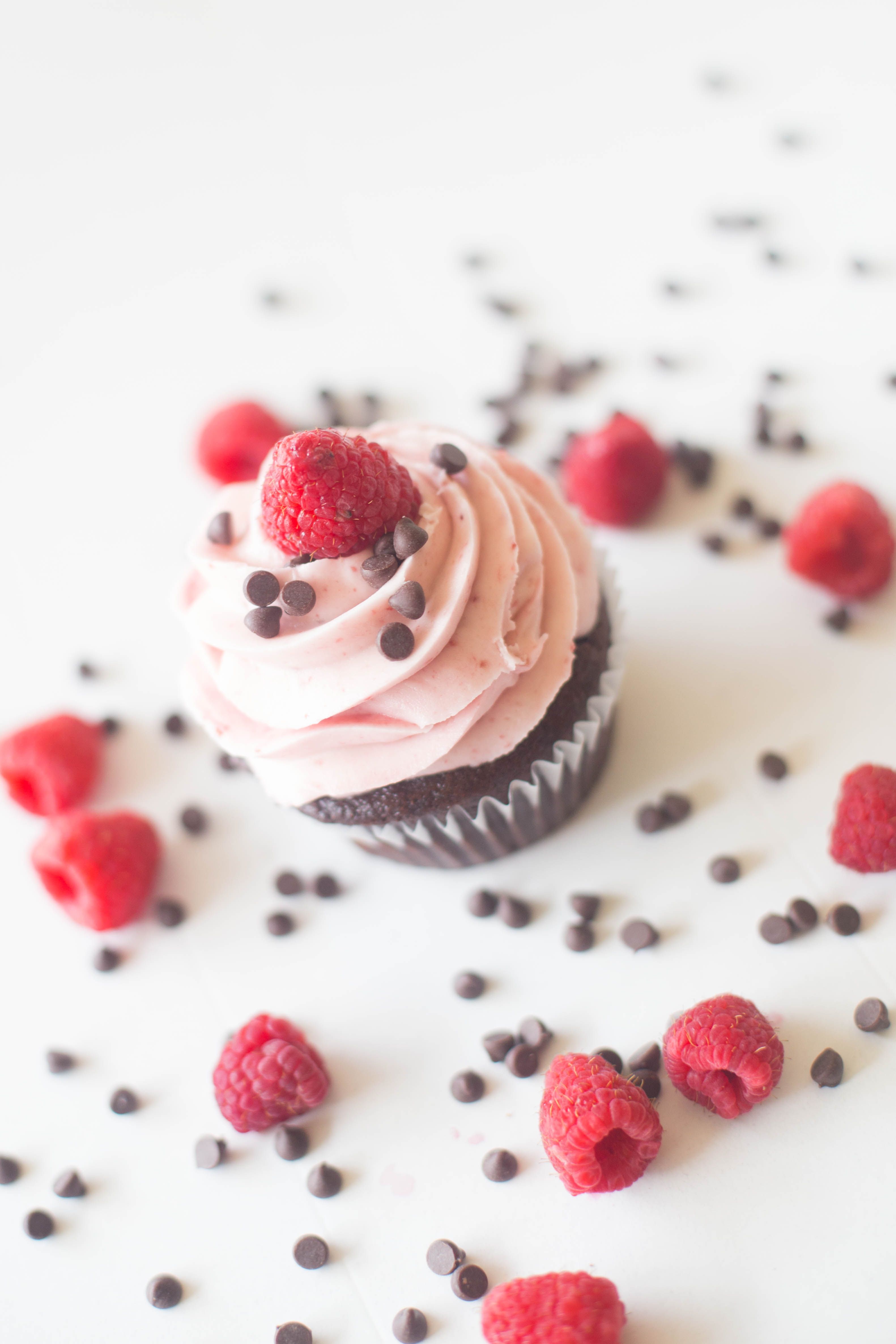 VGF Chocolate Raspberry Cupcake (Valentines)