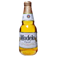 Modelo Especial